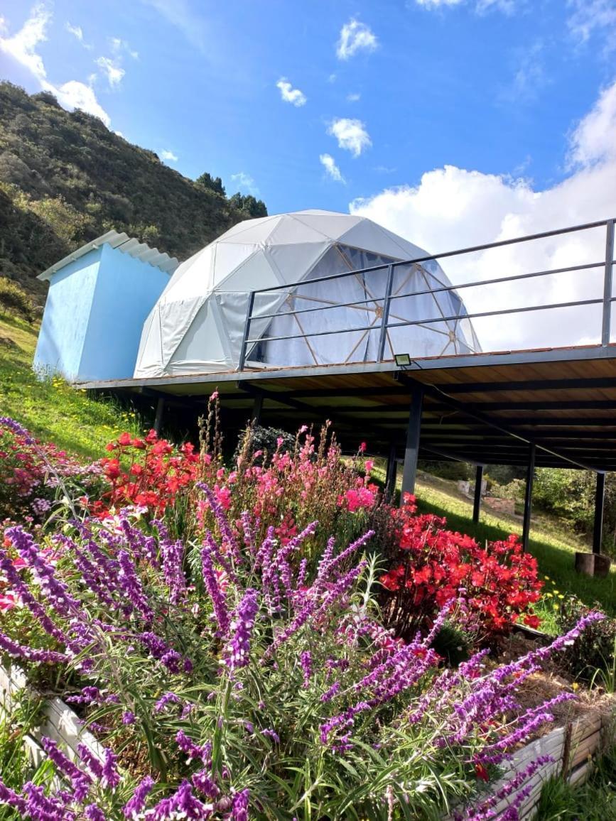 Tente de luxe Glamping Hermoso Amanecer *