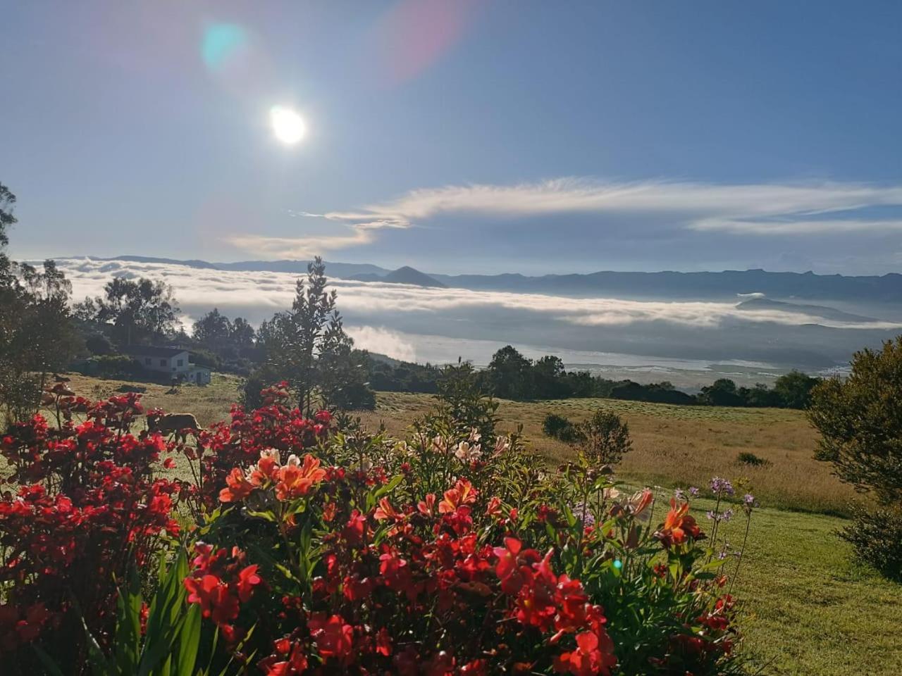 Tente de luxe Glamping Hermoso Amanecer *