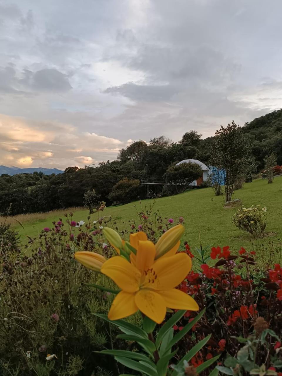 Tente de luxe Glamping Hermoso Amanecer *