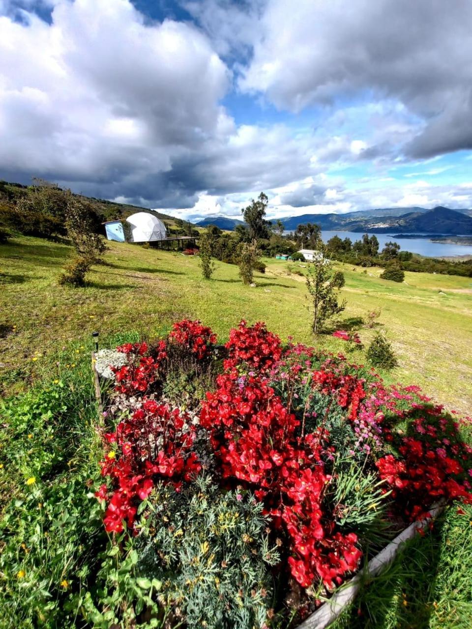 Glamping Hermoso Amanecer *